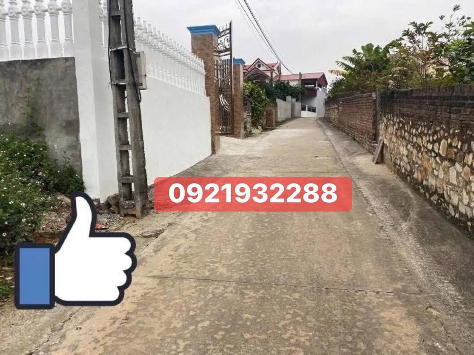 Đất nền thôn Trung Hậu, xã Lan Mẫu, 280m² - Giá tốt, chính chủ!