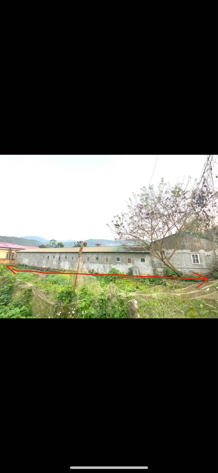 Đất nền 200m² xã Bảo Toàn giá thỏa thuận - Mặt tiền kinh doanh thuận lợi!