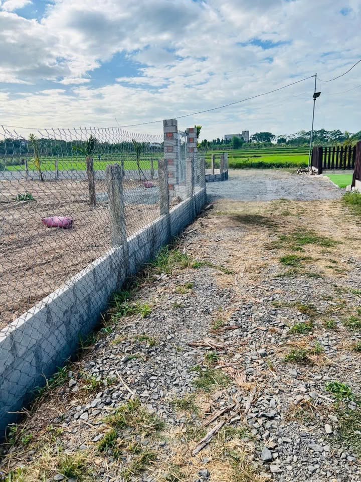 Đất thổ cư 1000m² tại thôn An Phú, xã Hàm Liêm - Giá chỉ từ 800 triệu!