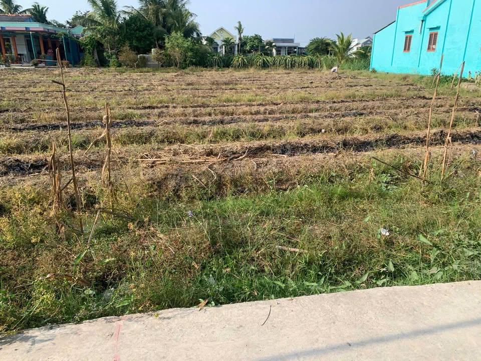 Đất nền Bình Thọ 2, Bình Phục Nhứt, 259m² chỉ 315 triệu - Sổ đỏ chính chủ!