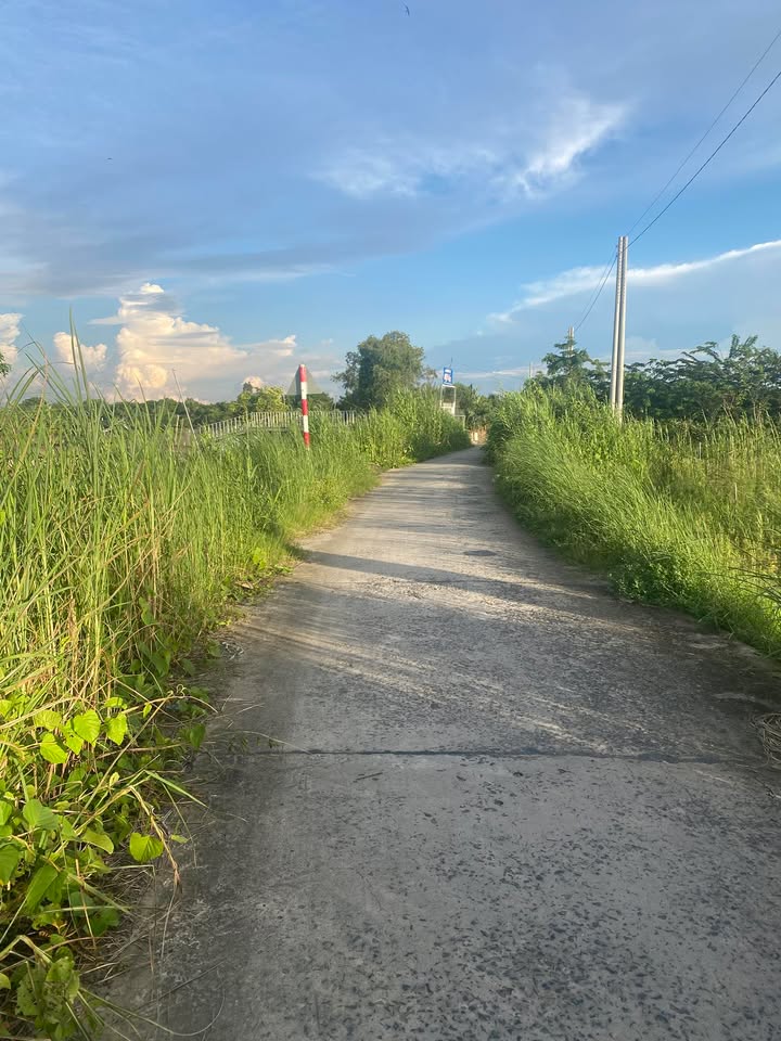 Đất ruộng đường Phan Văn Trầm, TP. Sa Đéc 1550m² giá 1.6 tỷ - Cơ hội đầu tư hấp dẫn!