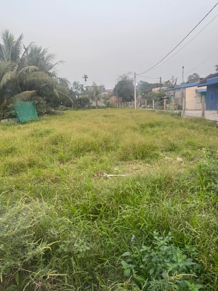 Đất nền 175m² tại khu công nghiệp Mỹ Thuận, giá 1.75 tỷ - Đầu tư sinh lời ngay!