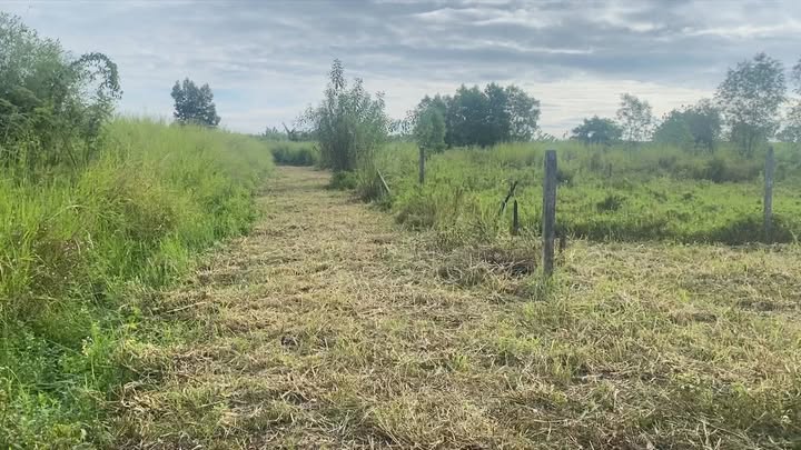 Đất nền 1,3 sào Trung Hòa, 4680m² giá 799 triệu - Sổ riêng chính chủ!