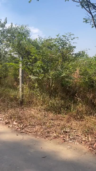 Đất nền Ấp 4, xã Sông Trầu, 140m² giá 780 triệu - Cơ hội đầu tư hấp dẫn!