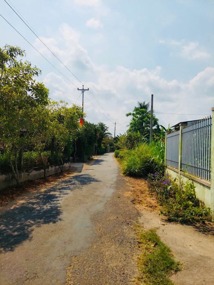 Đất thổ cư Phú Hưng, Bến Tre 101m² giá chỉ 360 triệu - Sổ đỏ chính chủ!