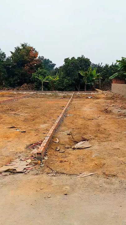 Đất nền 230m² trên đường ĐT 295, Hiệp Hòa, chỉ hơn 1 tỷ - Cơ hội đầu tư hấp dẫn!