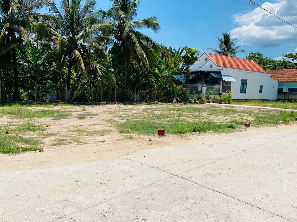 Đất thổ cư Diên Phước 84,3m² giá 1,28 tỷ - Đầu tư sinh lời!