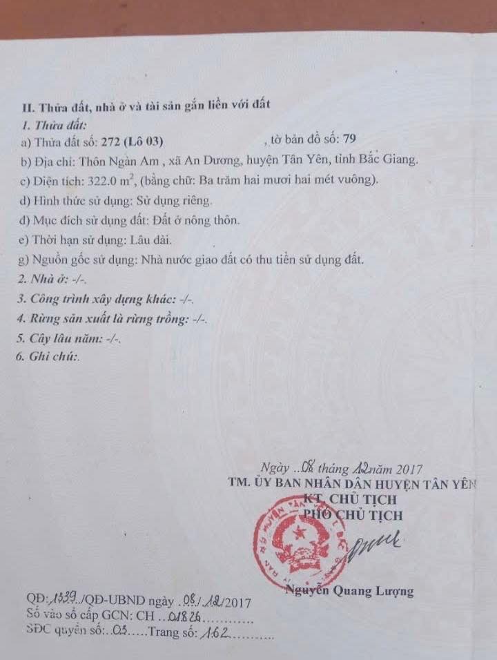 Đất nền đẹp tại huyện Tân Yên, Bắc Giang 300m² giá 2 tỷ - Cơ hội đầu tư không thể bỏ qua!