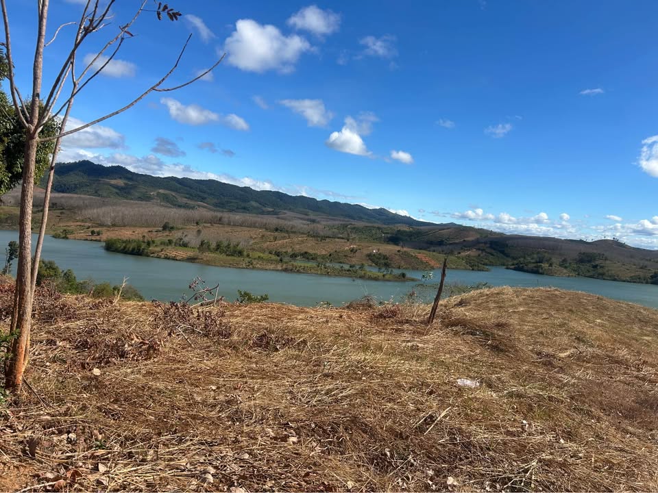 Đất Farm 28800m² Đắk Tờ Re - View Hồ Mộng Mơ, Giá Tốt