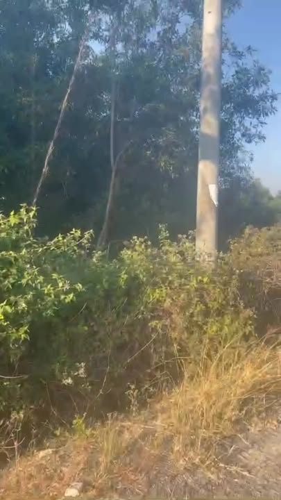 Đất Phước Hội La Gi 222m² Sổ Hồng Riêng - Vị Trí Đắc Địa