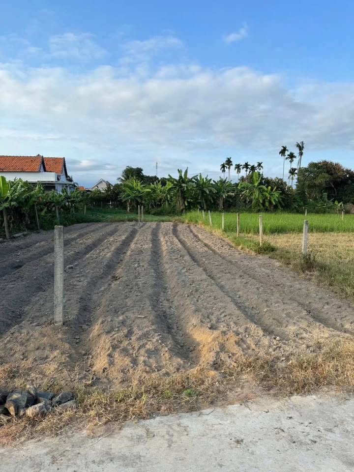 Đất nền Phú Sơn, Huyện Diên Khánh 186,7m² giá 466,75 triệu - Đường bê tông rộng rãi