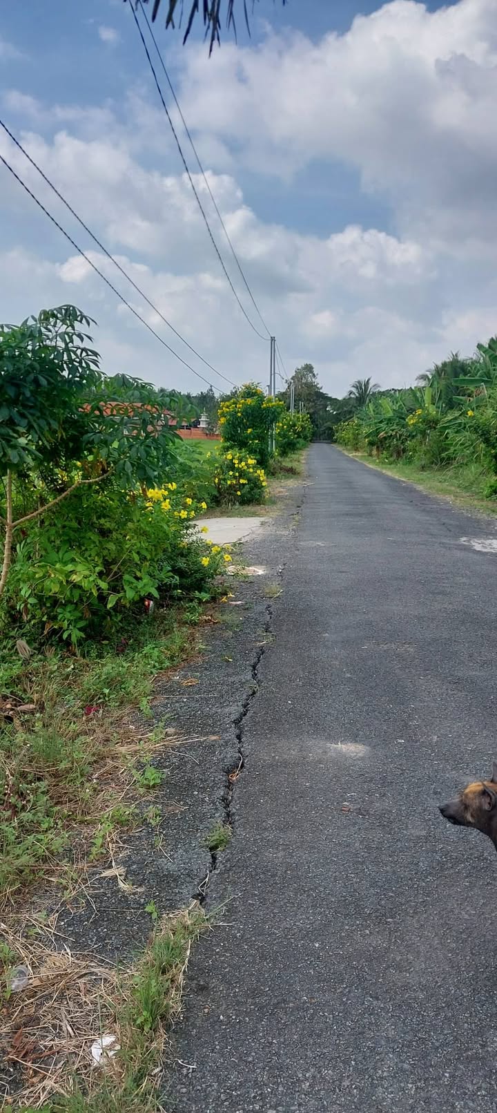 Đất nền xã Long Đức, huyện Long Phú 640m² - Giá cực tốt, chính chủ!