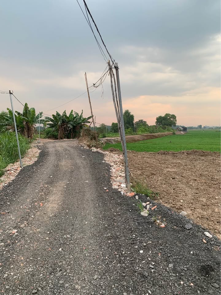 Đất vườn Đông Thạnh Hóc Môn 500m² giá 2.25 tỷ - Sẵn sàng đầu tư!