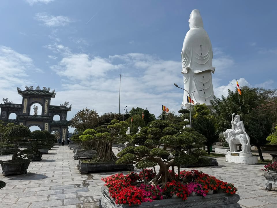 Đất nền góc đẹp tại Sơn Trà Đà Nẵng 515m² giá 5.15 tỷ - Đầu tư sinh lời lý tưởng!