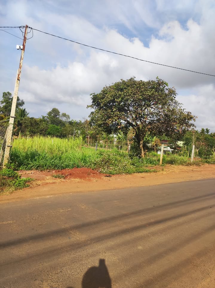 Đất nền mặt nhựa Đường Đội 10, Quận Ba Đình, 175m² giá 1.25 tỷ - Đầu tư sinh lời tốt!