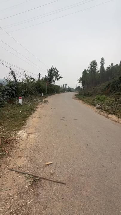 Đất nền Xã Tu Vũ, Huyện Thanh Thủy 1300m² giá 1 tỷ - Cơ hội đầu tư tuyệt vời!