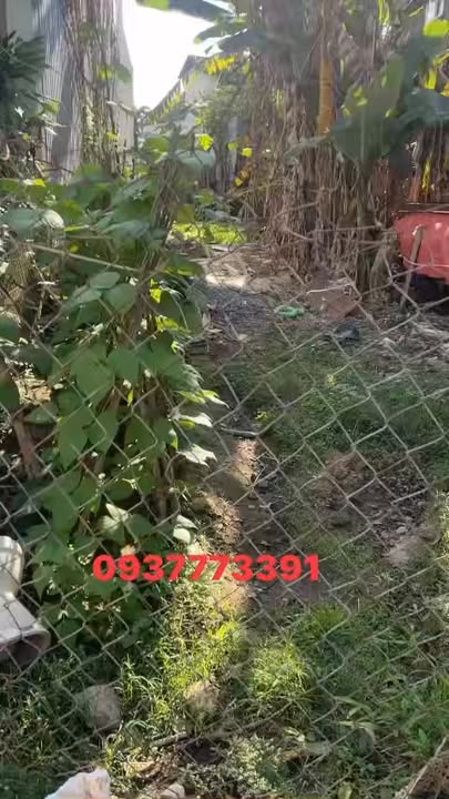 Đất nền Duy Hòa, Duy Xuyên 270m² giá 1 tỷ - Đầu tư sinh lời ngay!