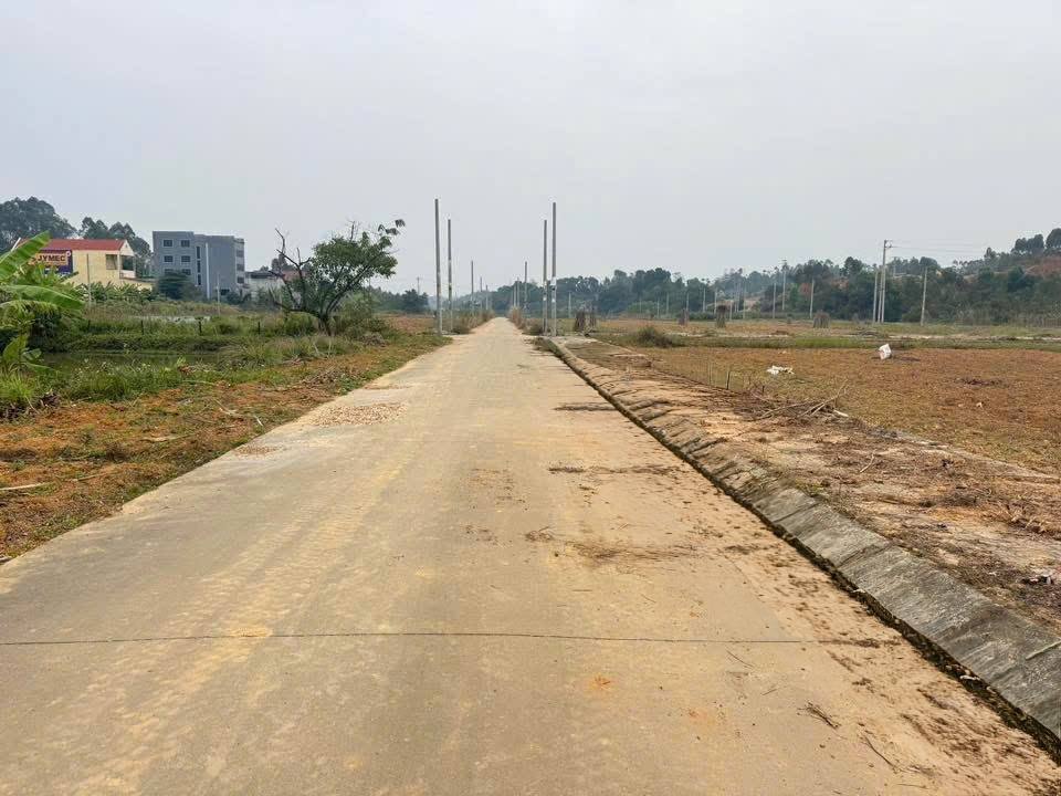 Đất đấu giá Tiên Kiên Lâm Thao 100m² giá đầu tư 8xx triệu - Hướng Nam mát mẻ!