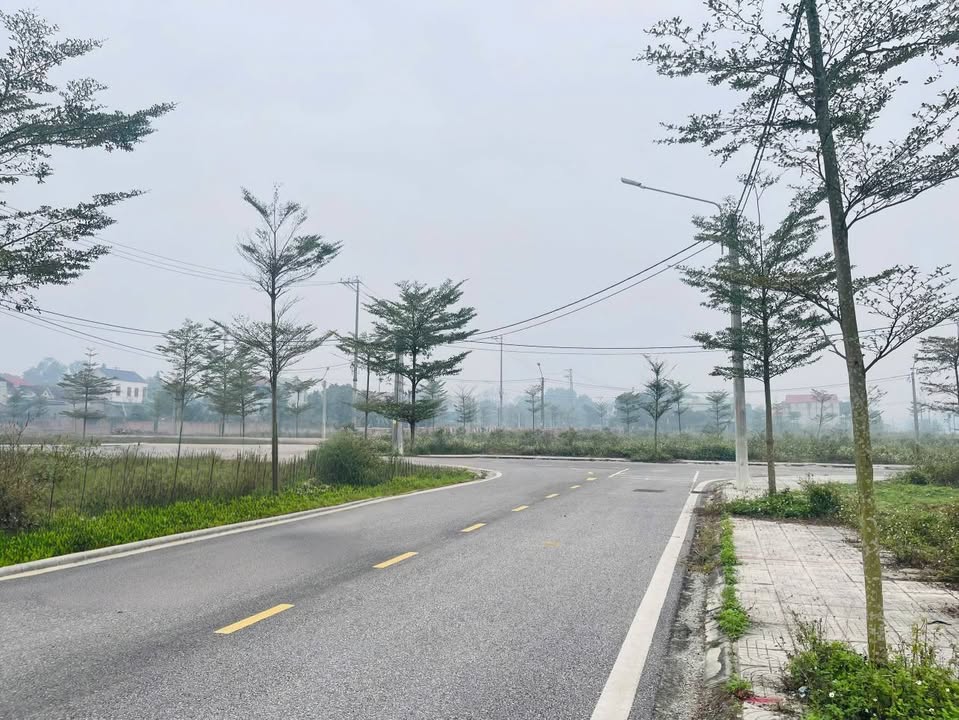 Đất nền liền kề Khu Hóc Đài, Việt Trì 292m² giá 2 tỷ - Cơ hội đầu tư hấp dẫn!