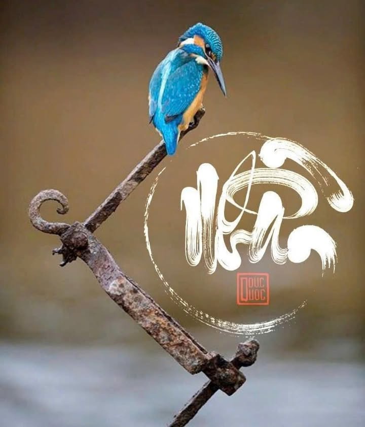 Biệt thự 2 mặt tiền KDC ADC Phú Mỹ 477m² - Sổ hồng riêng, giá tốt