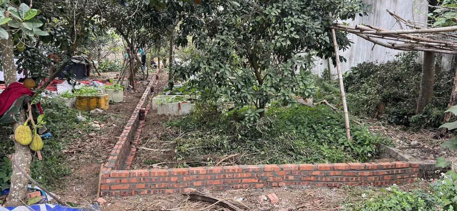 Đất nền chính chủ Phường Trung Sơn Trầm 96m² giá chỉ 1 tỷ - Cơ hội đầu tư tuyệt vời!