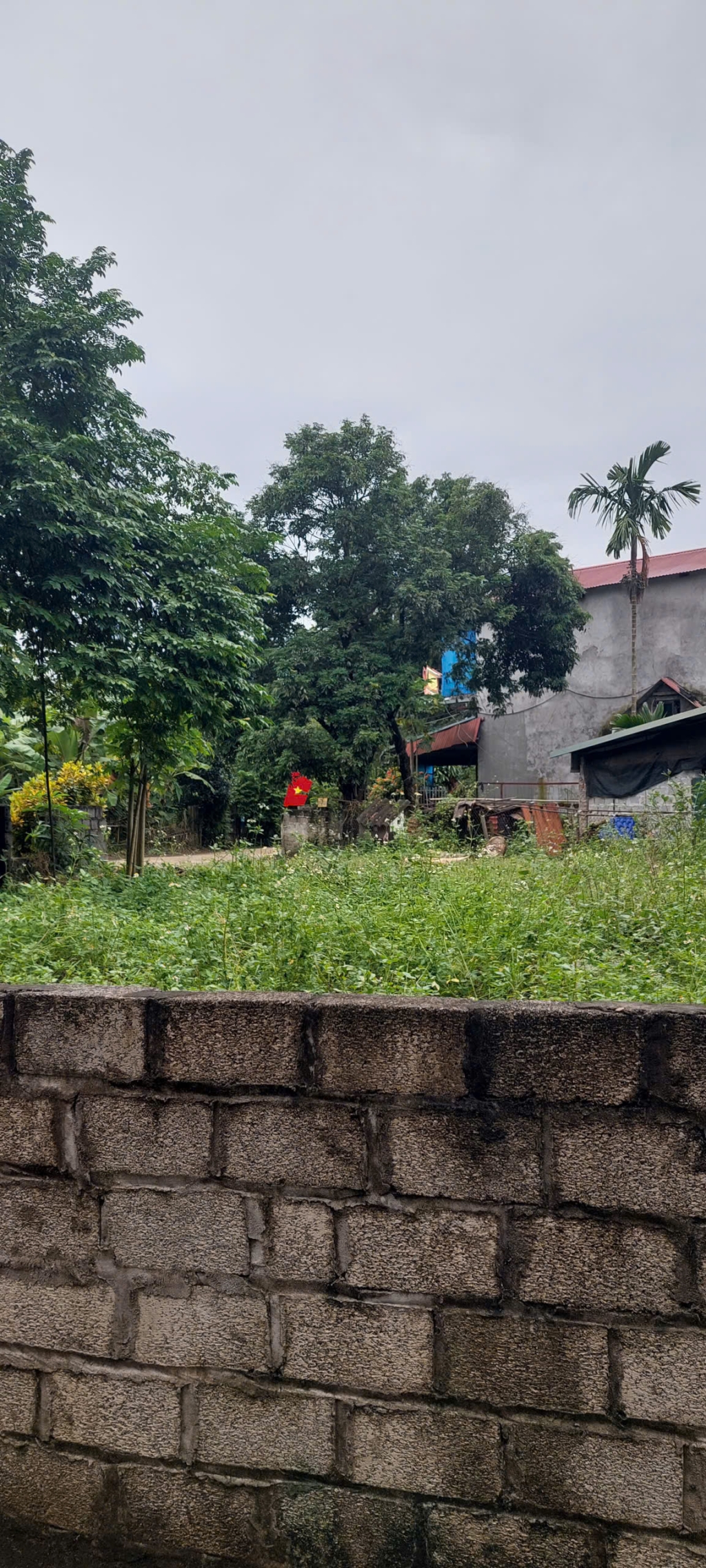 Bán đất Dân Chủ, TP Hòa Bình 50m² chỉ 720 triệu - Vị trí đẹp, tiện lợi!