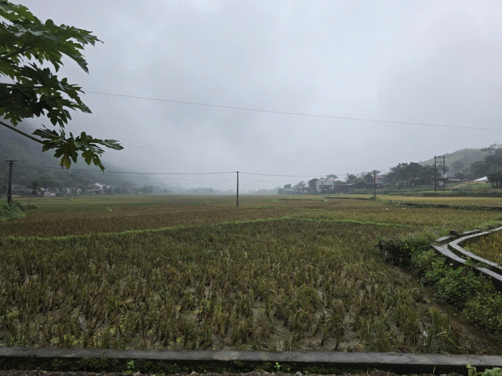 Đất nền Tân Lạc Hòa Bình 495m² giá 720 triệu - Không gian sống lý tưởng!