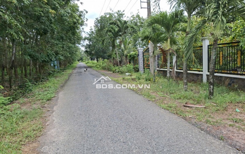 Đất hẻm ô tô tải quay đầu đường Phú Thuận, Xã An Ninh Tây 8.000m² giá 44.4 tỷ - Cần bán gấp!