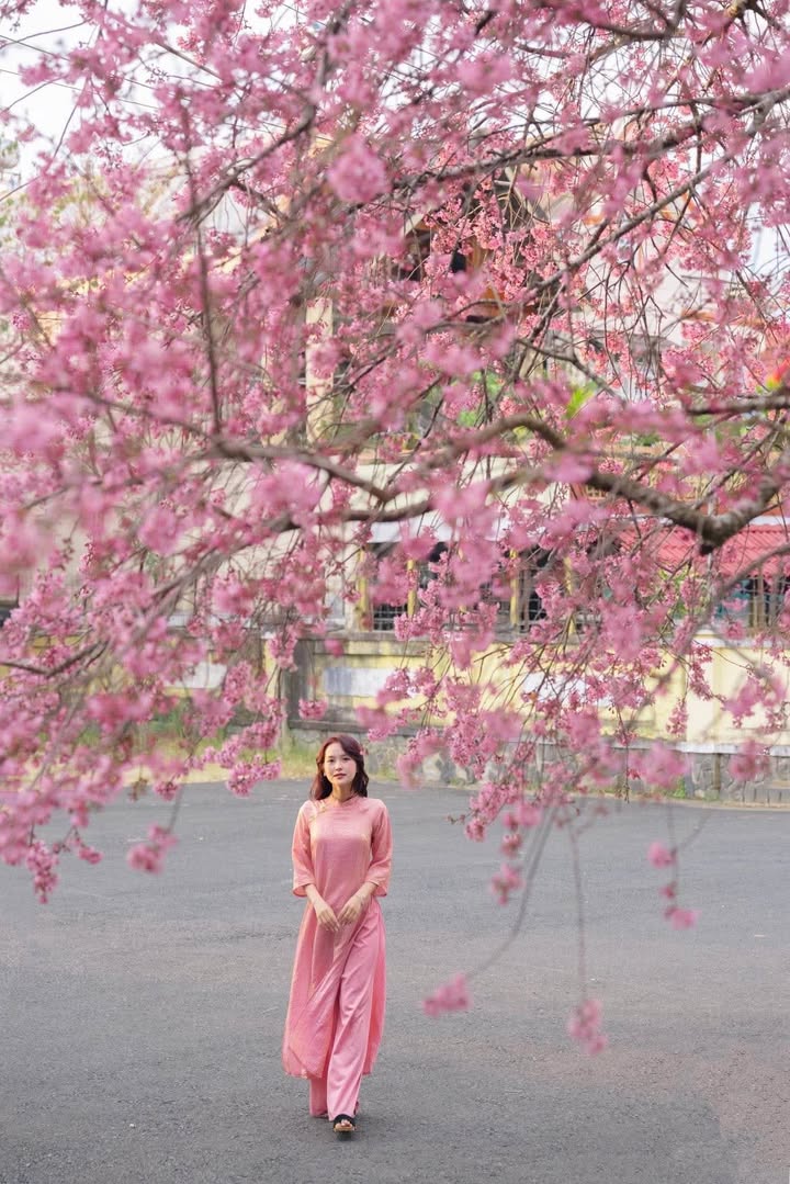 Nhà riêng Đà Lạt 60m² giá 5 tỷ - Sổ hồng chính chủ, ô tô vào tận nhà!