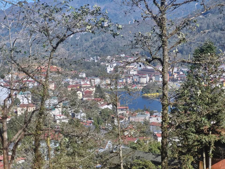 Nhà vườn Đường Sở Than Sa Pa 610m² giá 2 tỷ - Nơi nghỉ dưỡng lý tưởng!