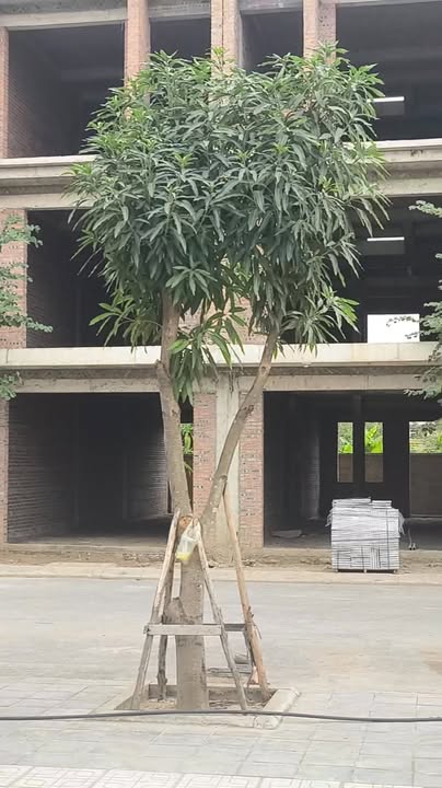 Đất nền Hồng An Happy House Hải Dương 48,000m² - Đầu tư sinh lời bền vững!