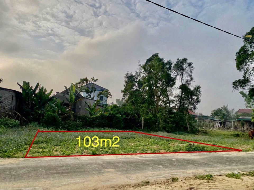 Đất nền đầu tư tại Liên xã Đức Thiết, 103m², giá thỏa thuận - Cơ hội sinh lời cao!