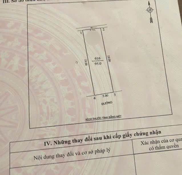 Đất nền khu đấu giá Hoà Tiến, P.Hưng Lộc, 95m² - Đầu tư sinh lời ngay!