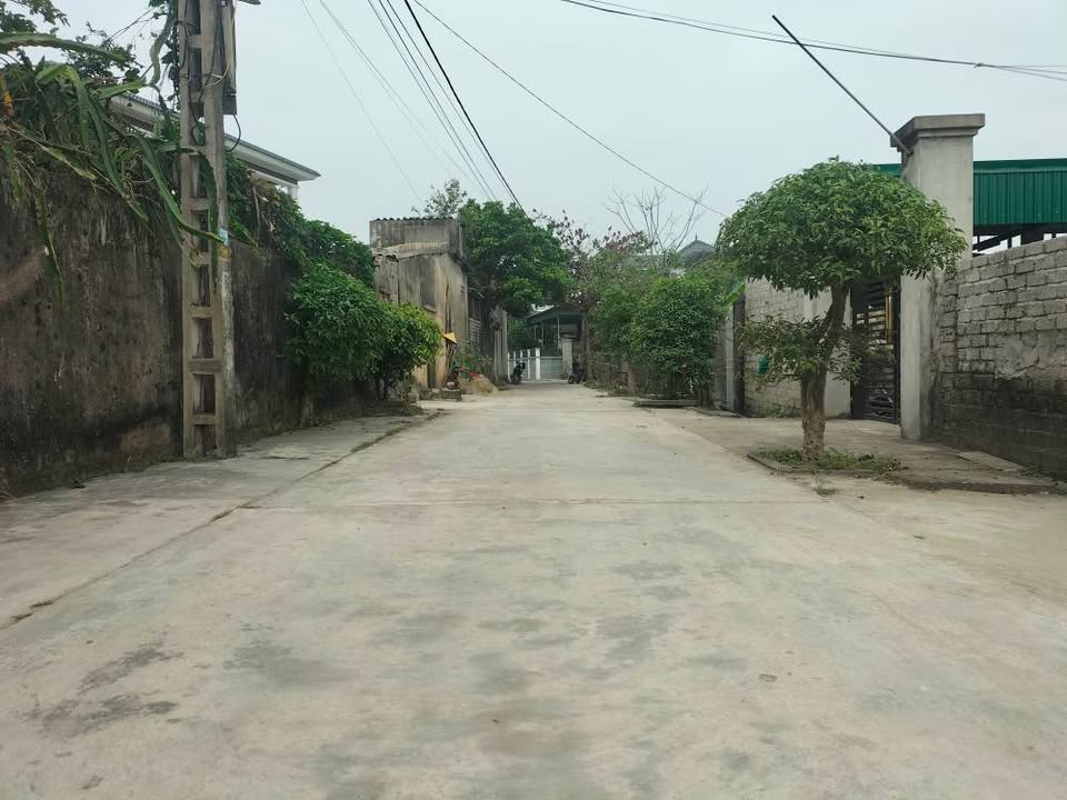 Đất nền Diễn Bình 239m² giá chỉ 1.5 tỷ - Đầu tư sinh lời ngay!