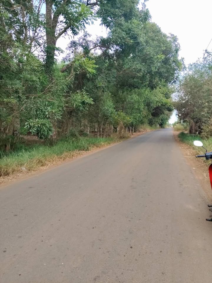 Đất ở ấp Hòa Bình, xã Hưng Thịnh, 273.9m² - Sổ đỏ chính chủ, giá thỏa thuận!