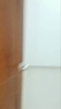 Nhà cho thuê tại Mỹ Yên, Bến Lức - 2 phòng ngủ giá chỉ 2.5 triệu/tháng!