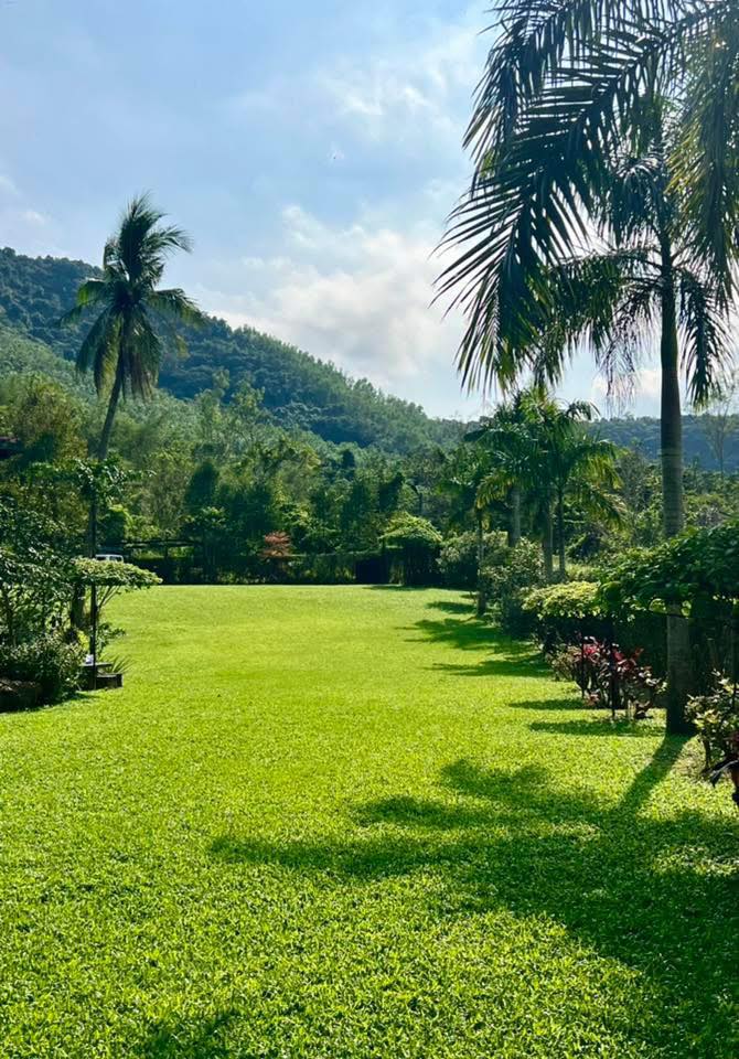 Đất nền Hòa Phú Đà Nẵng 3000m² giá 7 tỷ - Đầu tư sinh lời hấp dẫn!