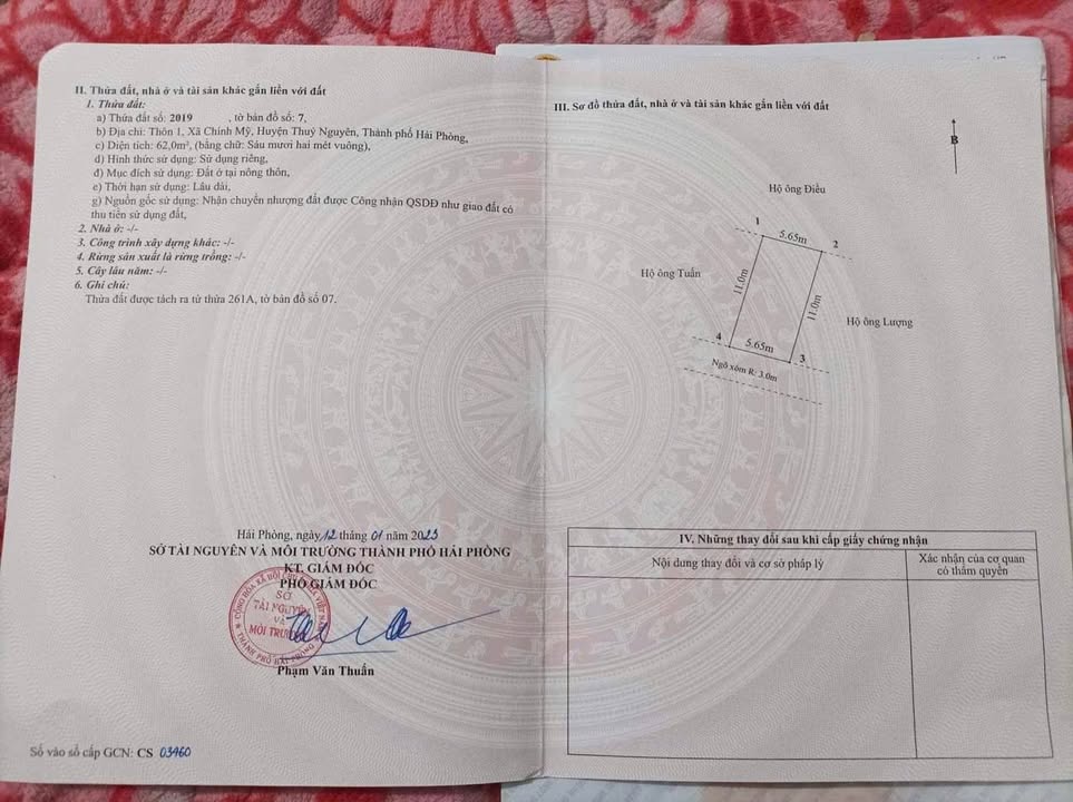 Đất thổ cư Chính Mỹ Thủy Nguyên 62m² giá chỉ 500 triệu - Tiện lợi cho gia đình!