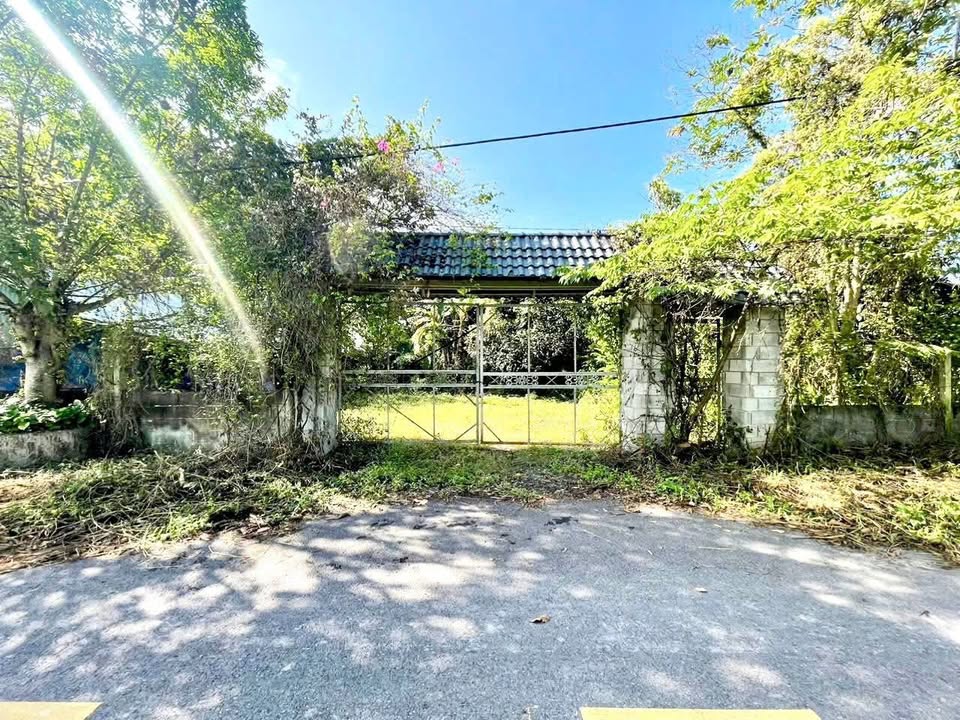 Đất Farm tại An Nhơn Tây, Củ Chi 10.348m² - Tiềm năng đầu tư lớn!