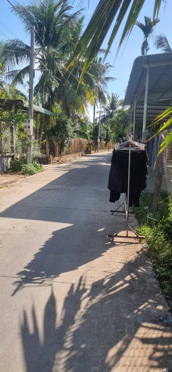 Đất Vườn Tiền Giang 3854m² - Nghỉ Dưỡng Lý Tưởng