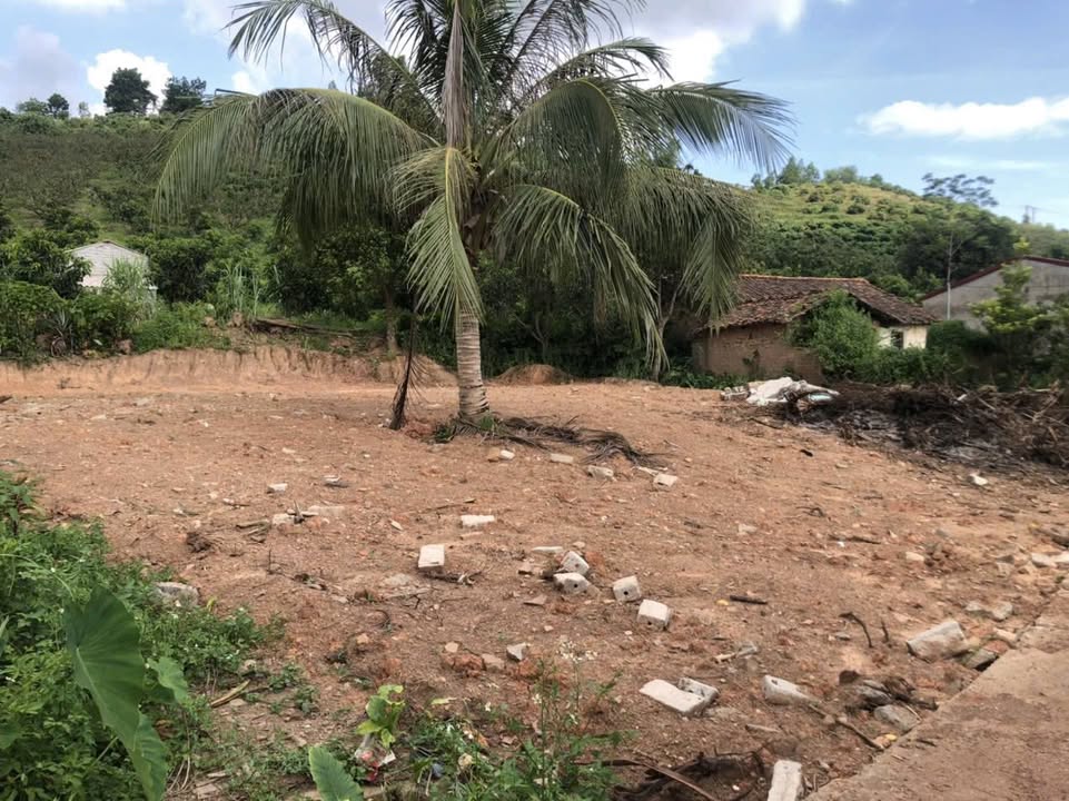 Đất thổ cư Xã Tân Hoa, Huyện Lục Ngạn, 120m² giá 300 triệu - Cơ hội đầu tư hấp dẫn!