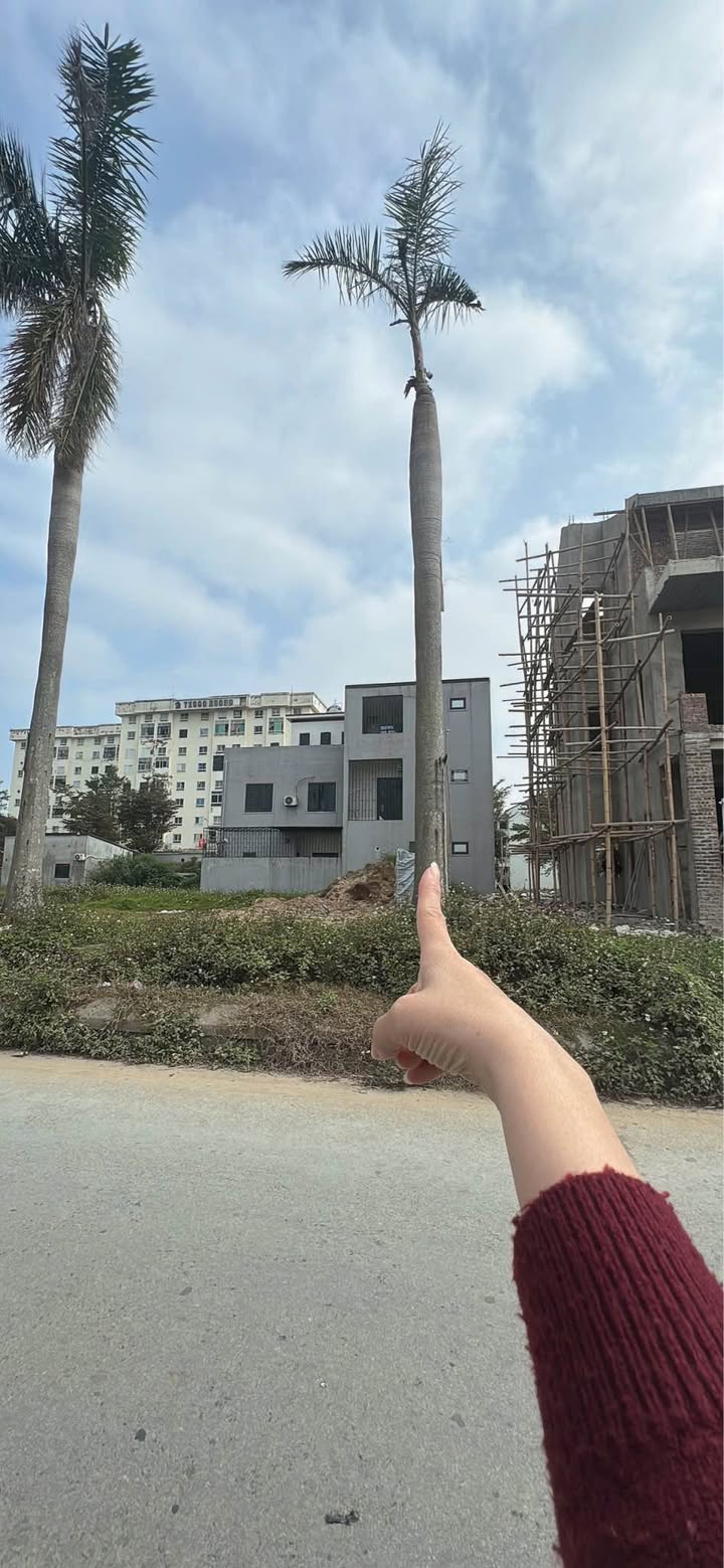 Đất Nền Tecco Nghi Kim, Vinh 145.9m² - Sổ Hồng Riêng, Giá Đầu Tư