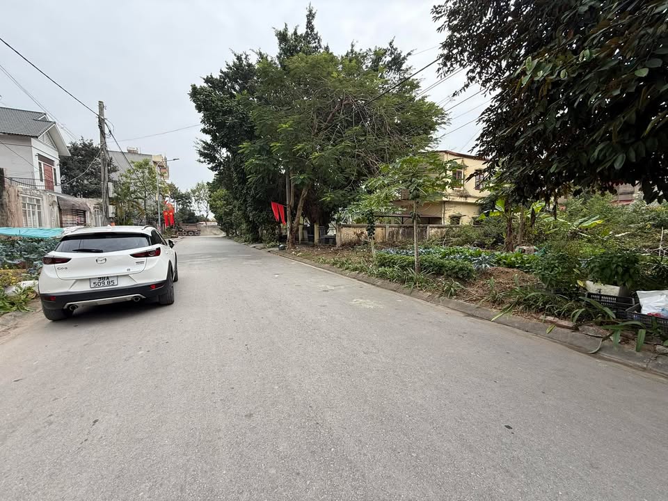 Đất nền Tổ dân phố Khôi Bắc Ninh 90m² giá 2.x tỷ - Cơ hội đầu tư hiếm có!