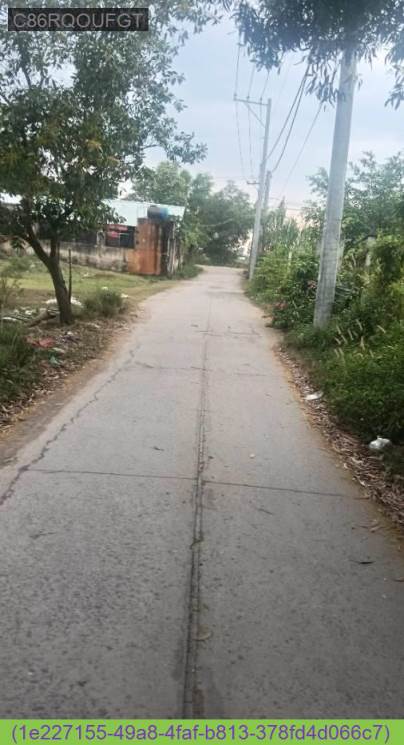 Đất nền 534m² tại Ấp 1, Xã Tân Vĩnh Lộc, Bình Chánh - Giá chỉ 8 triệu/m²!