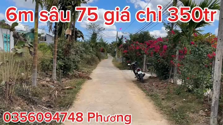 Đất nền Thị trấn Đắk Mâm, huyện Krông Nô, 450m² giá 350 triệu - Đầu tư sinh lời ngay!