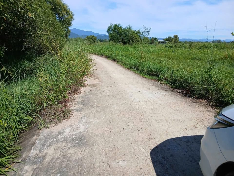 Đất thổ cư 156m² thôn 6 Hàm Chính giá 285 triệu - Cơ hội đầu tư tuyệt vời!