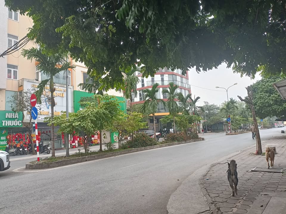 FrontHouse Phúc La Hà Đông 50m² giá 12 tỷ - Bán gấp, thương lượng mạnh!