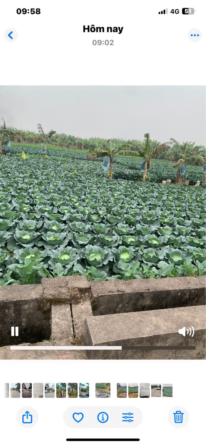 Đất nông nghiệp Kim Sơn, Gia Lâm 1360m² - Lô góc mặt tiền rộng, giá thỏa thuận