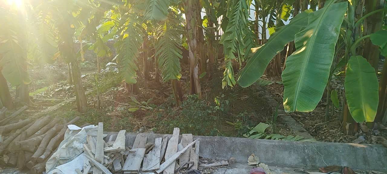 Đất nền xã An Quang, Hải Phòng 60m² giá chỉ 400 triệu - Cần bán gấp trước Tết!