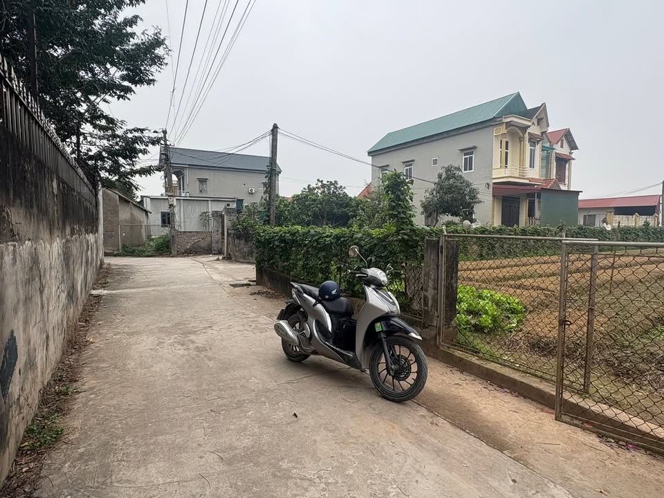 Đất Nền Cẩm Giàng, Hải Dương 170m² - Sổ Đỏ Sẵn Sàng